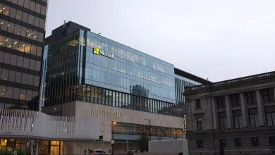 Microsoft Launched Pegasus Program for Startups